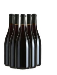 Mixed 6 —  Top Value Piedmont Reds