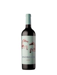 2022 Padrillos Malbec